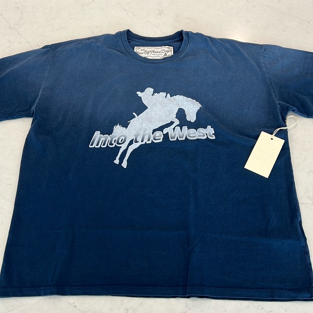 One of These Days Men’s Shirt size XXL